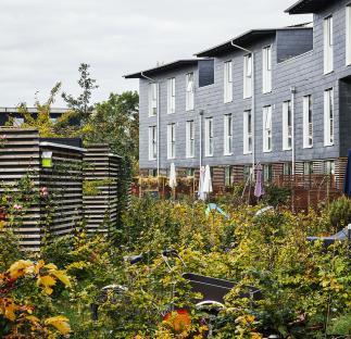 Photo of Danmarkshusene by Vandkunsten Architects. Photo credit: Tegnestuen Vandkunsten