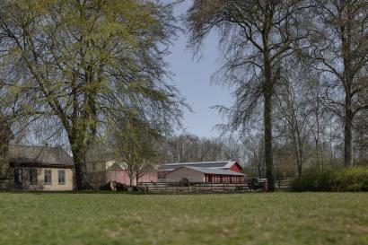 Grønnegården Children’s House, BBP Arkitekter and Thing Brandt Landskab